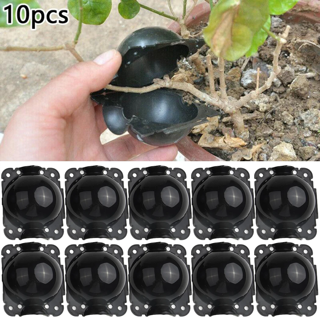 10Pcs Reusable Plant Root Growing Box Cutting Grafting Rooting Ball for Garden Rooting Propagation plant rooting ball