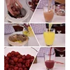 Stainless steel squeezer 2L household screw squeezer Chinese medicine juice residue juice separation squeezer food grade 6