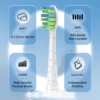 Replacement Toothbrush Heads with Covers for 7am2m AM101/AM105 Electric Toothbrush,10 Pack 6