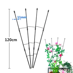 Rustproof 120cm Metal Plant Trellis and Climbing Support Frame (1 set)