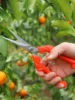 1pc minimalist pruning scissors, stainless steel plant branch scissors, for outdoor gardens 5
