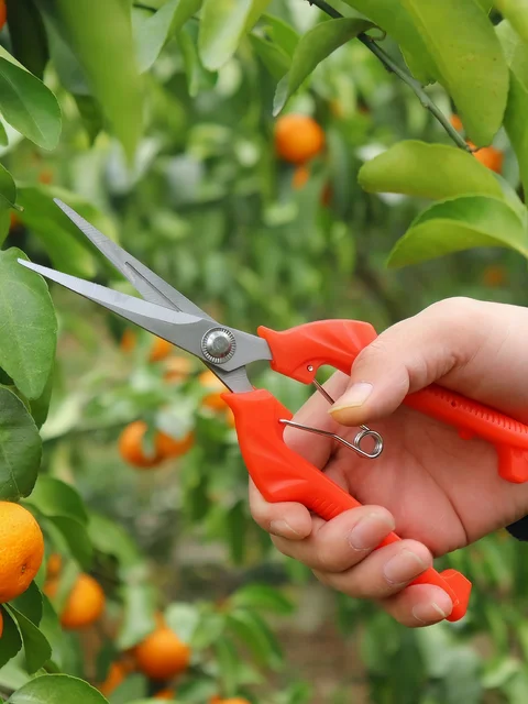 1pc minimalist pruning scissors, stainless steel plant branch scissors, for outdoor gardens 5