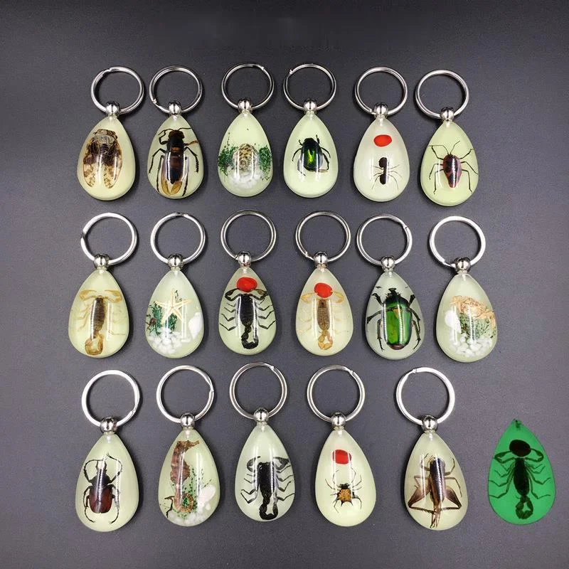 1PCNewResinInsectKeychainLuminousScorpionInsectSpecimenPendantRandomColor.jpg
