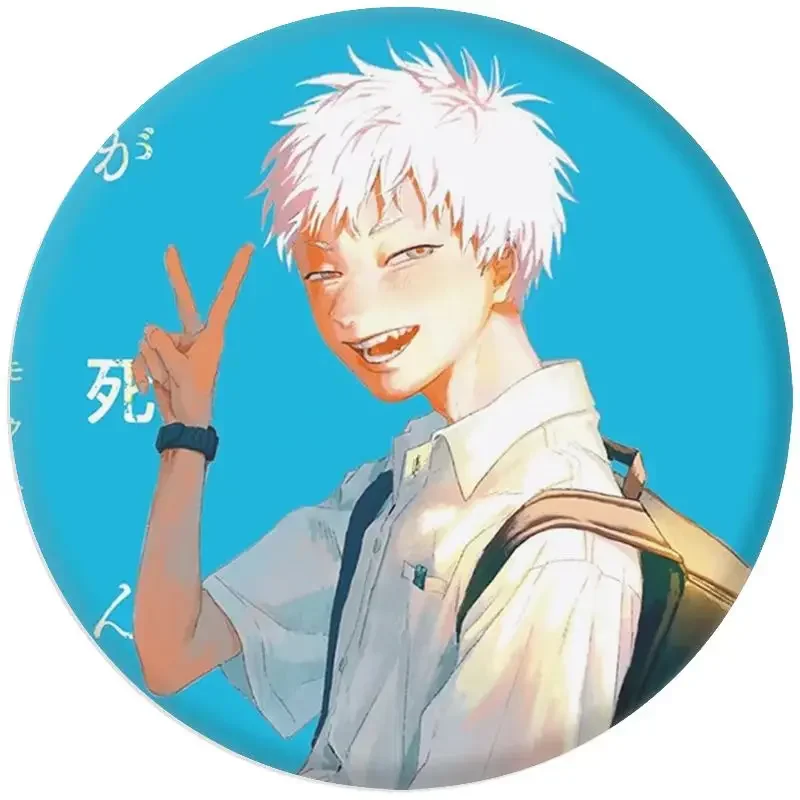 Summer HikaruDied Figurines Badges Anime Tinplate Badge