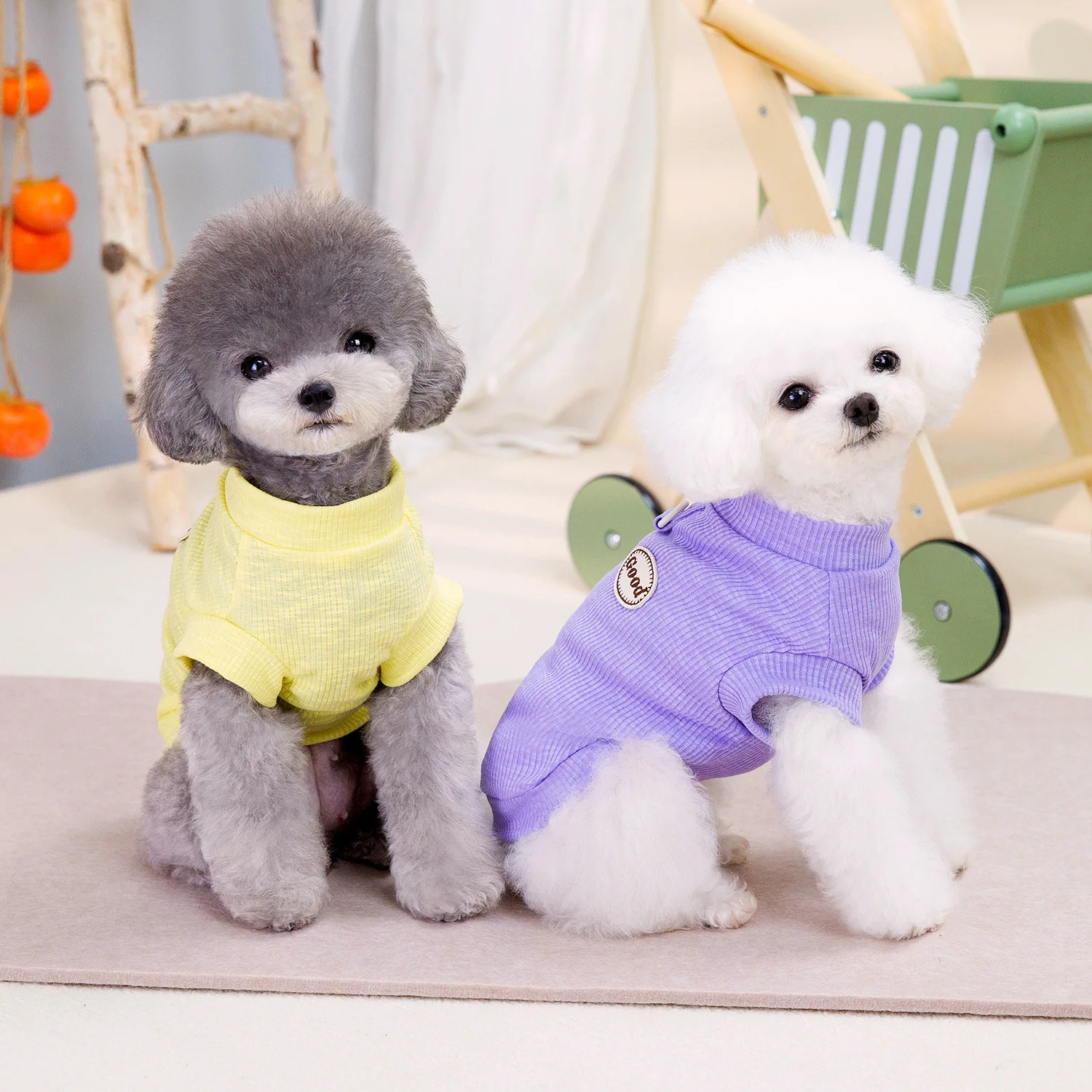 맞춤형 자수 텍스트 및 패턴 의류, 고양이 및 개 의류, 용수철 및 여름 스타일 의류, 3 개/세트