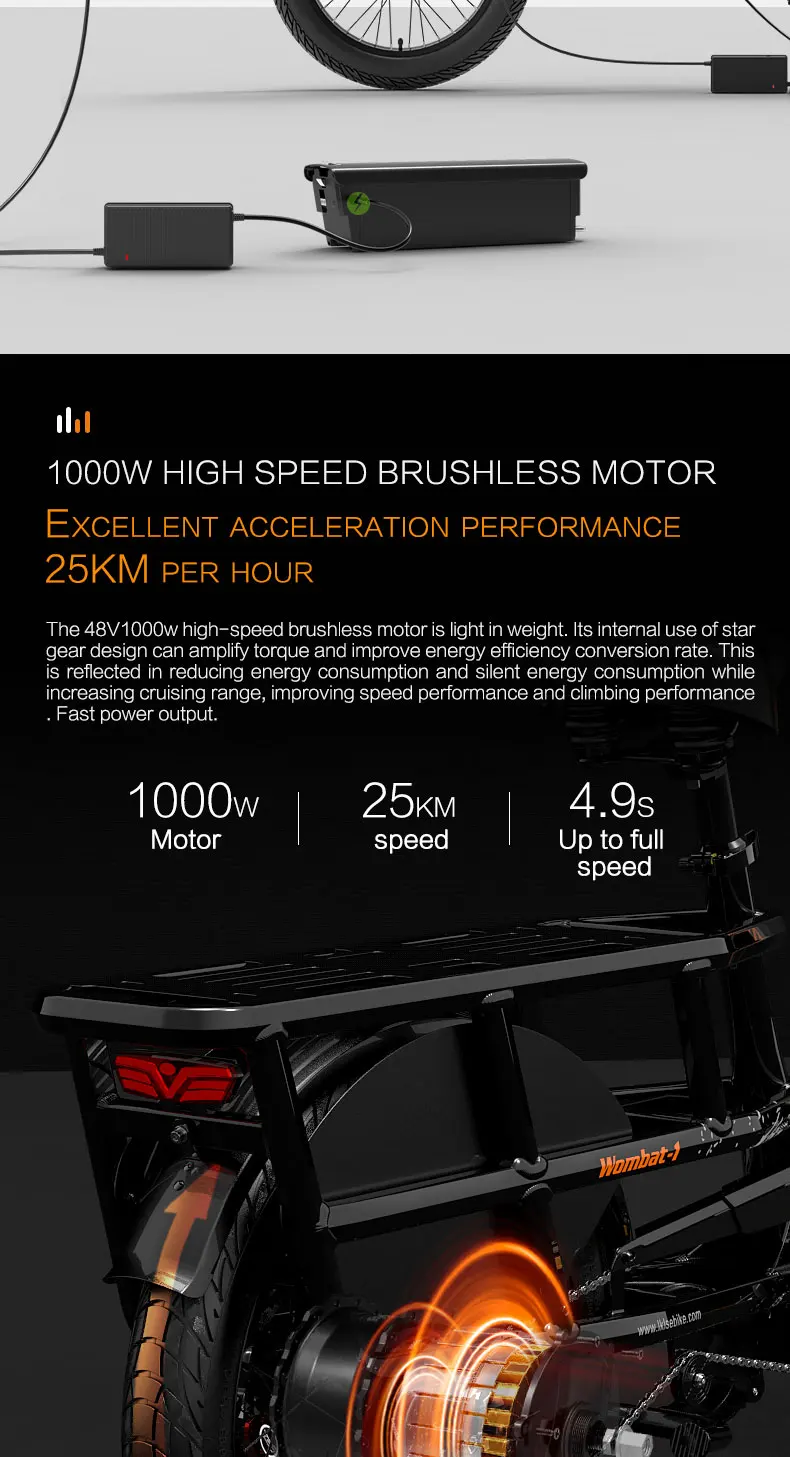 Lankeleisi Wombat-1 Elektrofahrrad 46 km/h Höchstgeschwindigkeit 1000W Motor 48V20AH Akku Offroad E-Bike EU-Lagerbestand – Detail 6