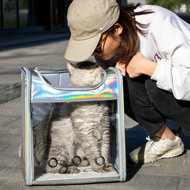 레이저 투명 고양이 백팩 (고양이, 강아지, 소형 애완동물용) 대용량 휴대용 반려동물 이동장 (여행, 산책, 야외 사용)