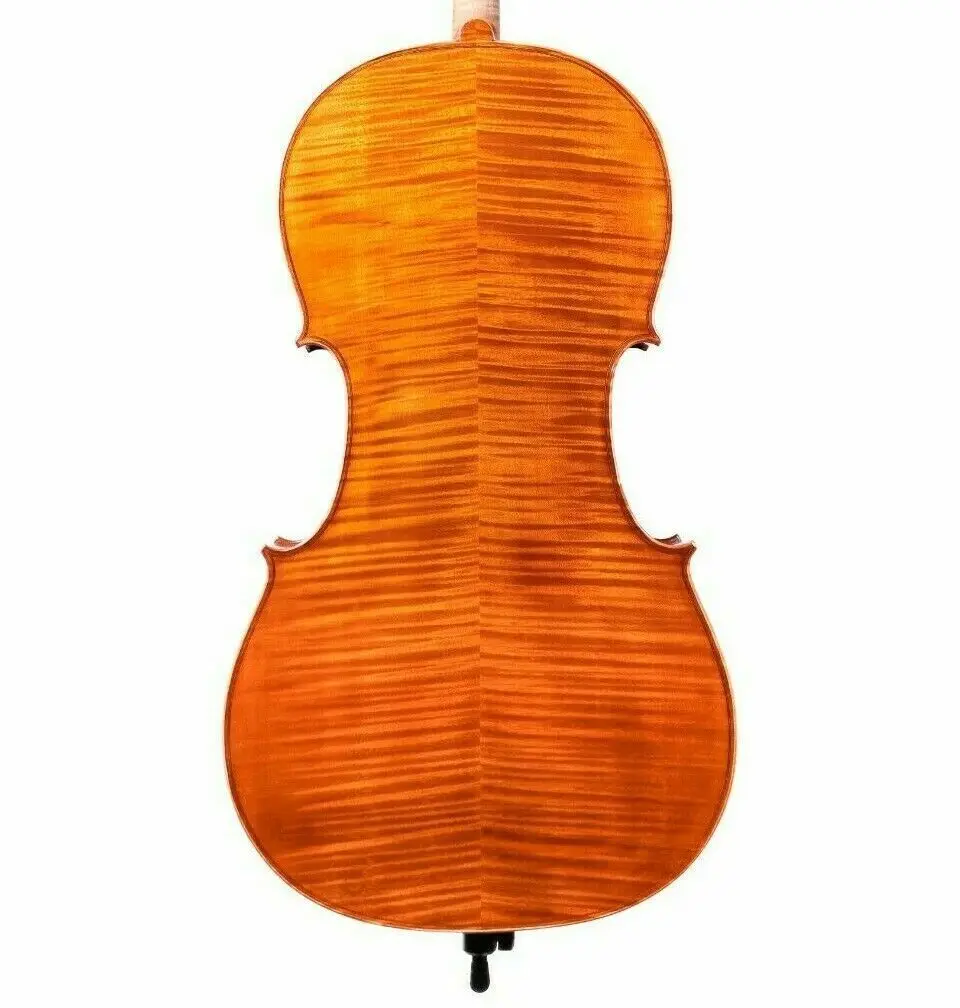 Рисунок 3 - Профессиональная Модель Stradivari