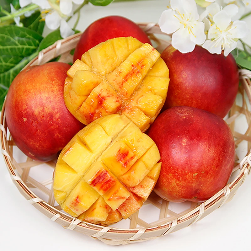 s4d21dfcfb38744a5b03554997ca6d87en-jpg