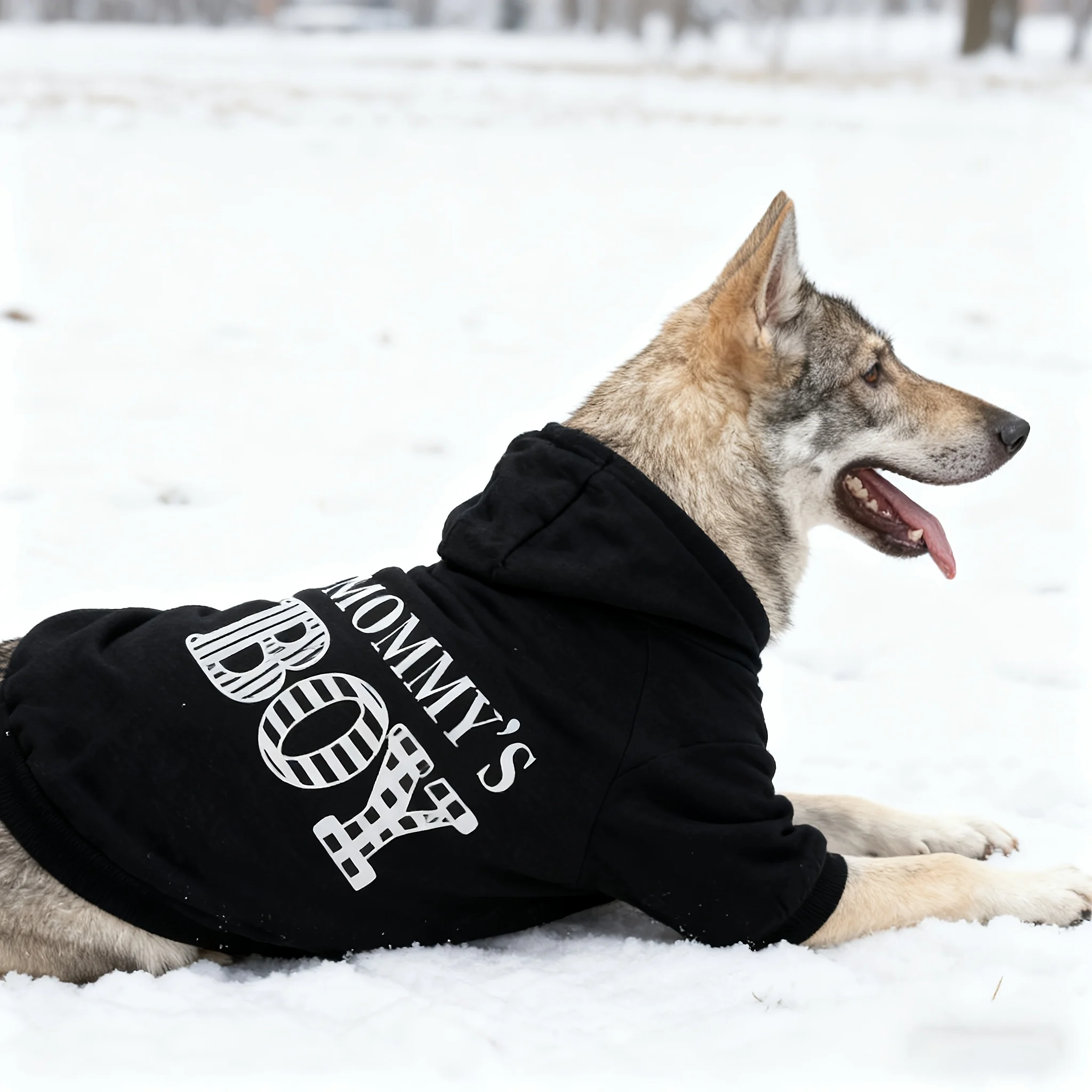 S4d22ae8d03574649be9d41532a6dd7901