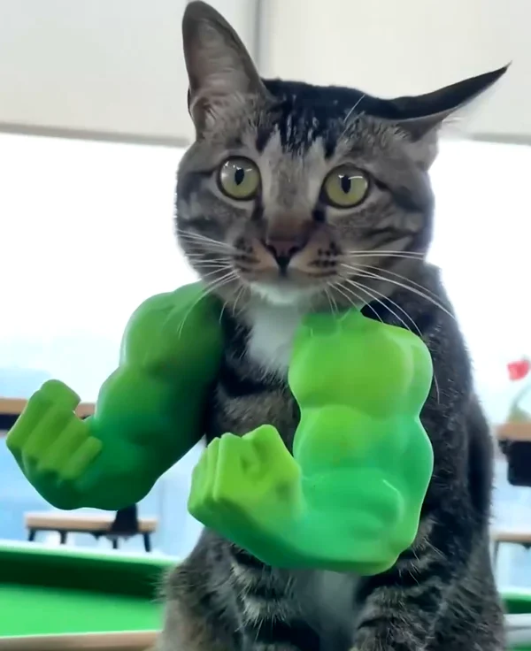 Generic Cat Muscle Arm 3D Printing Créatif Géant Arm Cat From Arm Fund