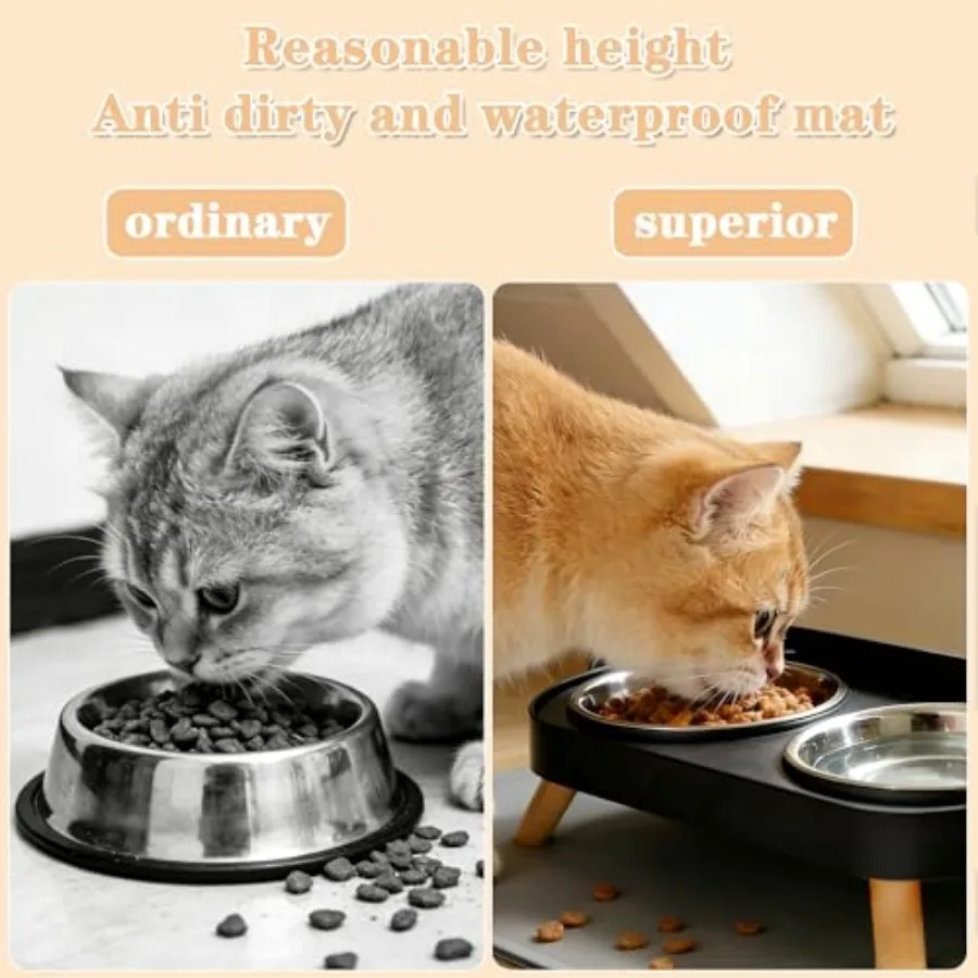 Elevated Cat Bowl Set with Mat 2