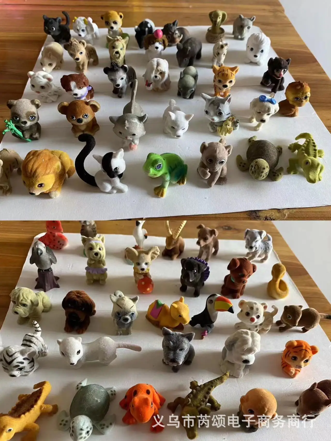 Jungle In My Pocket Pets