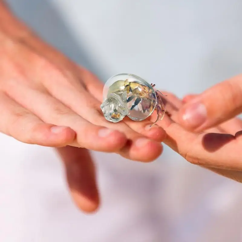 Hermit Crab House Clear Glass Conch Shells For Hermit Crab Fish Tank Ornaments Spiral Shells Art Supplies Decor