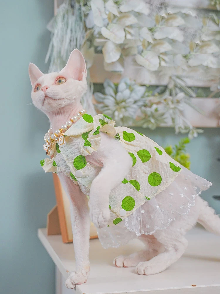 

Милая Цветочная юбка для кошек без волос, зеленое кружевное газовое платье для кошек сфинкса, хлопковая скользящая рубашка для котят и собак на лето и весну