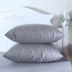 Set of 2 Waterproof Hypoallergenic Pillow Protectors with Zipper, Bedbug Proof - 50*70cm (Light Grey)