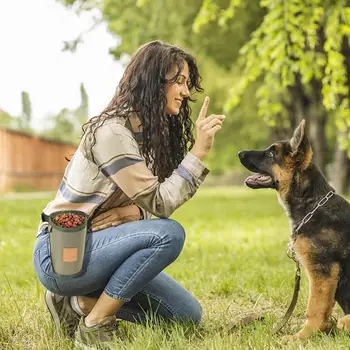 Portable Dog Treat Bag Puppy Training Treat Snack Bag Large Capacity Dog Training Snack Reward Waist Bag Pet Feed Pocket 2