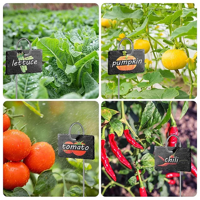 1 Db Fákkő Rozsdamentes Acél Jelzések Növényi Virágcímkék Kerti Gyümölcsök Zöldségek Címke Tányérok Diy Kültéri Jelzőtábla Dekoráció - Image 4