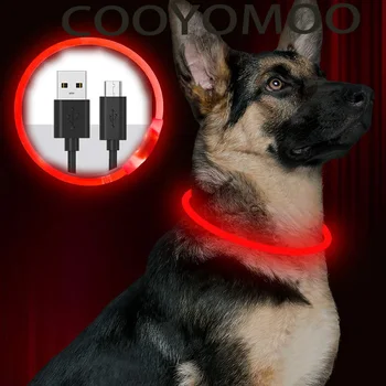 “Silicone LED Dog Collar – Rechargeable, 4 Modes, Soft & Lightweight, Anti-Loss for Small, Medium & Large Dogs” 1