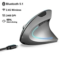 BT5.1 2.4G GY