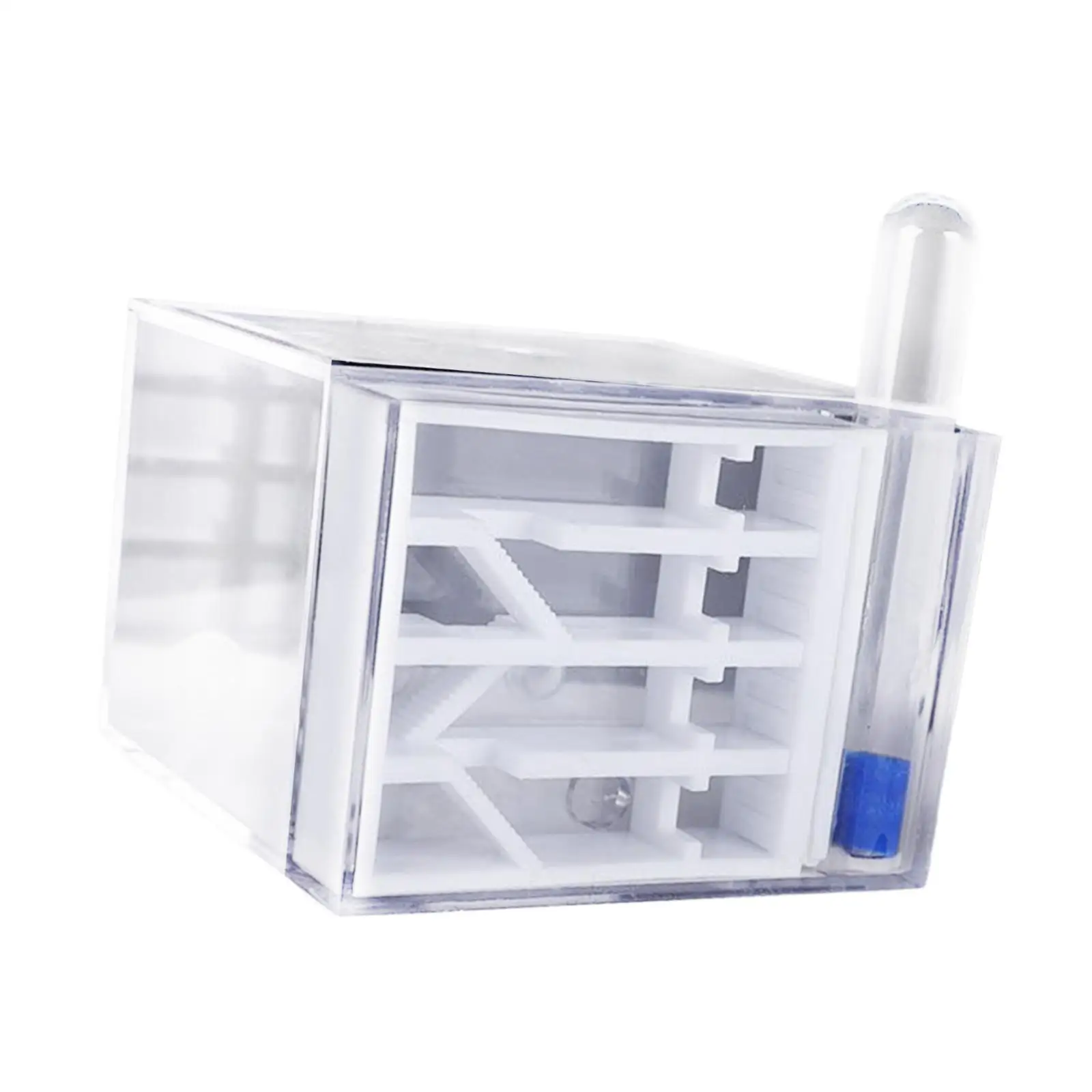 ANT Farm DIY Supplies Funny Toys Study ANT Habitat ANT Nest for Childrens Day Gift Decoration Tabletop Science Observation ANT Farm DIY Supplies Funny Toys Study ANT Habitat ANT Nest for Childrens Day Gift Decoration Tabletop Science Observation