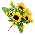 13 Heads Sunflowers