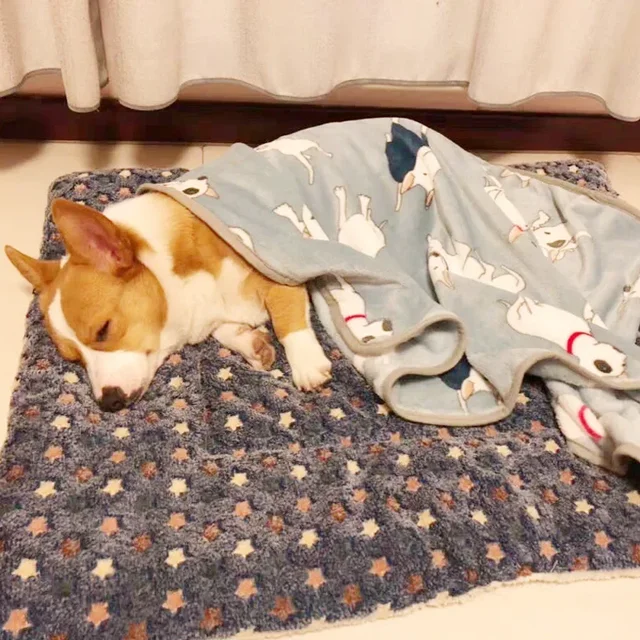 Pet Mat Thickened Autumn/Winter Warm Kennel Cat/dog Blanket Non-slip Seat Mat Soft Flannel Cotton Mat for Small and Large Dogs 6