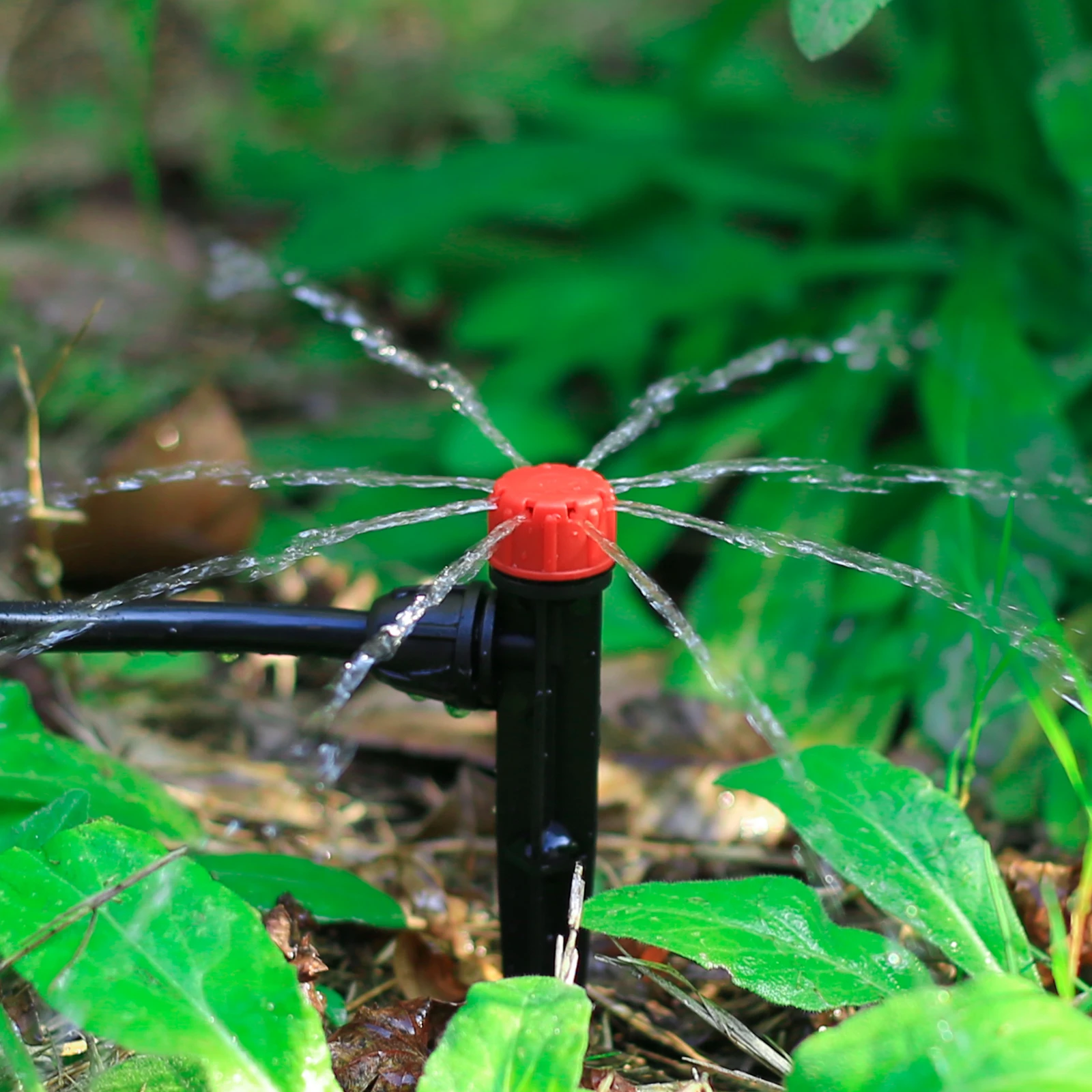 5/20/50/100 Stück 360° ° Streusel Sprinkler Bewässerung Tropfer Garten Landwirtschaft Blume Rasen Bewässerung Düse Gesperrt Verbinden 1/4 Schlauch – Detail 13