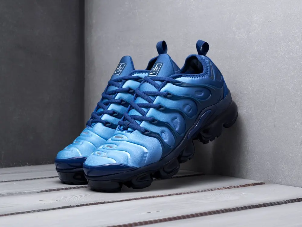 Кроссовки Nike Air VaporMax Plus Разноцветный Лето Мужской |