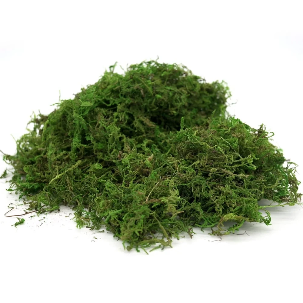 50/100g Fake Moss Artificial Green Moss for Potted Plants Fairy Garden