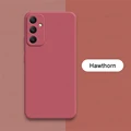 MF Hawthorn