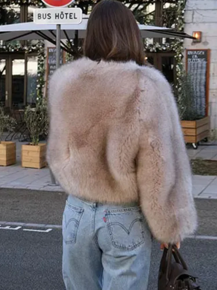 2024 Women Faux Fur Coat Autumn Winter High Quality Fluffy Short Coat Faux Fur Jacket Ladies Furry Fashion Coat 2