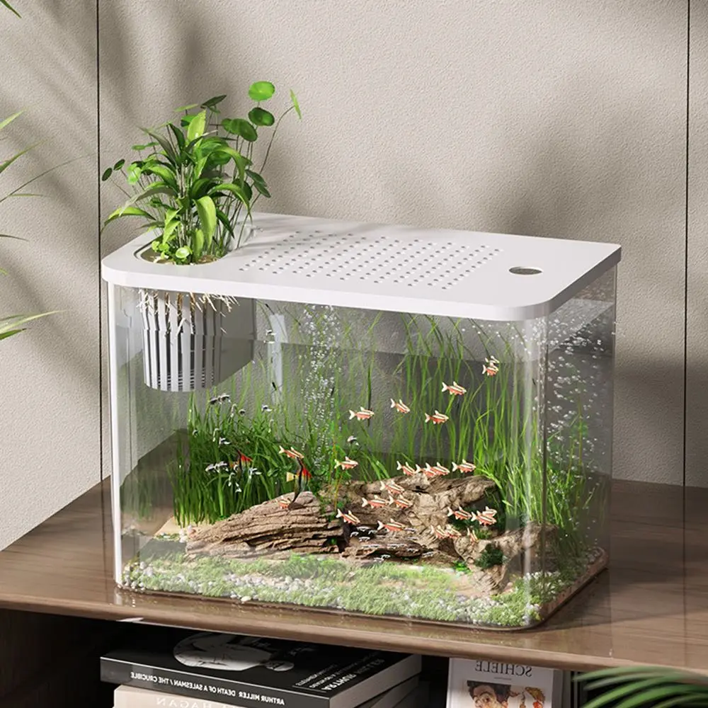 Desktop Aquarium with Lid 4