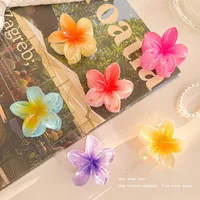 Flower Hair Claw Hawaiian Gradient, Mini Fashion Hair Clips for Women Baby Girls, Crab Barrette Headwear Hairpin Accessories