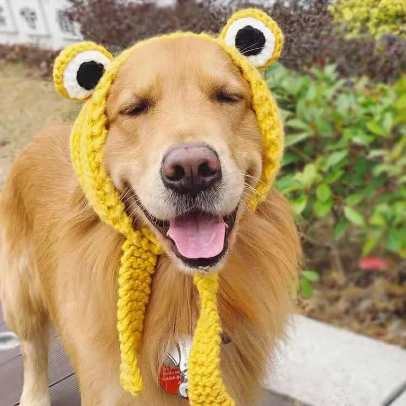 Dog Ear Warmers Winter Funny Frog Dog Hat Cute Knitted Pets Golden