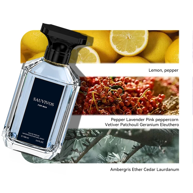 100ML 3.4FL.OZ Men's Perfume - Eau de Parfum Inspired by S