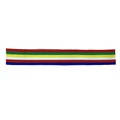 Rainbow wig Band