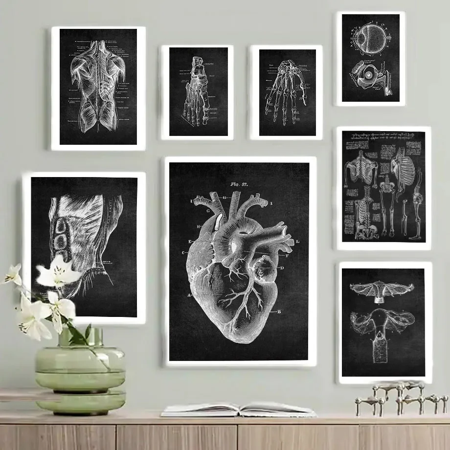 Anatomia Arte Bianco e Nero Pittura su tela medica Organo floreale Cardio Polmone Stampa di poster Educazione Ospedale Decorazioni per la casa - immagine 2