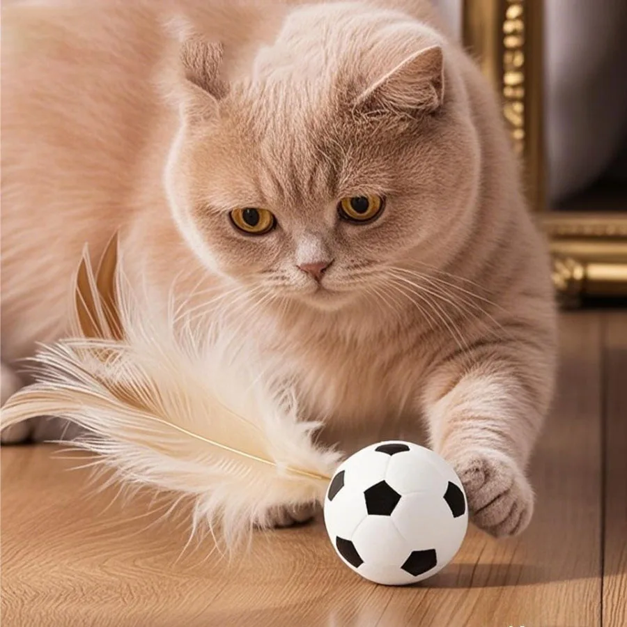 Interactive Cat Play Set: Elastic Rubber Balls & Feather Bites