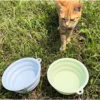 2pcs Collapsible Pet Silicone Dog Food Water Bowl Outdoor Camping Travel Portable Folding Supplies Dishes with Carabiner 4