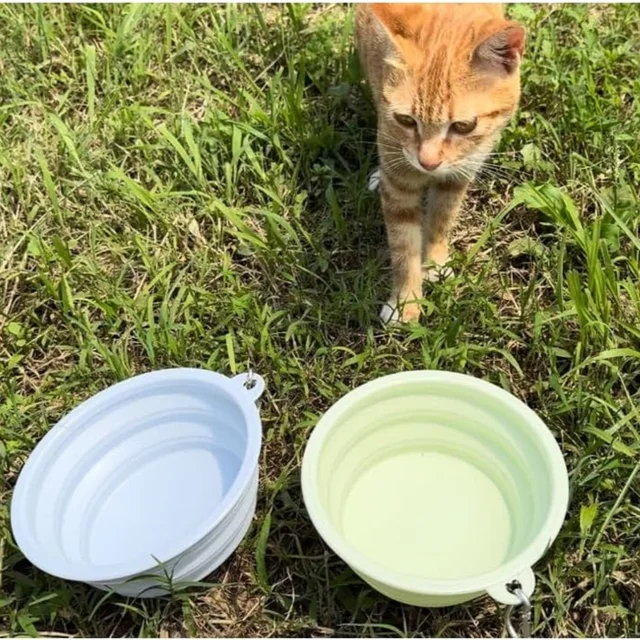 2pcs Collapsible Pet Silicone Dog Food Water Bowl Outdoor Camping Travel Portable Folding Supplies Dishes with Carabiner 4