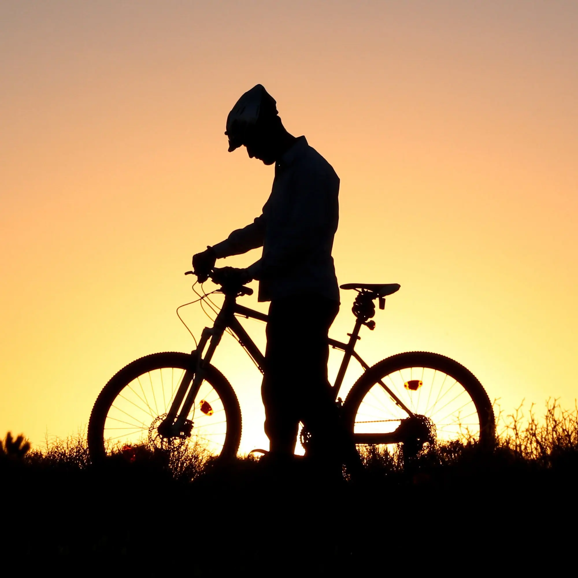 CHIYO Cycling Store