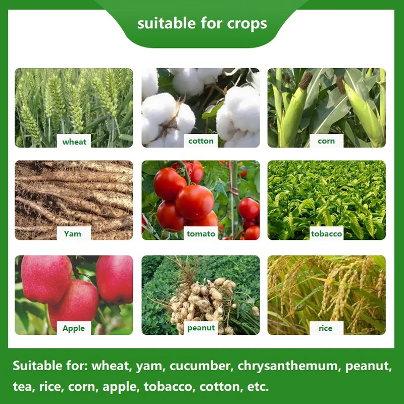Humic Acid Foliar Organic Water Soluble Fertilizer Foliar Fertilizer Universal Compound Fertilizer for Fruits and Vegetables 40g