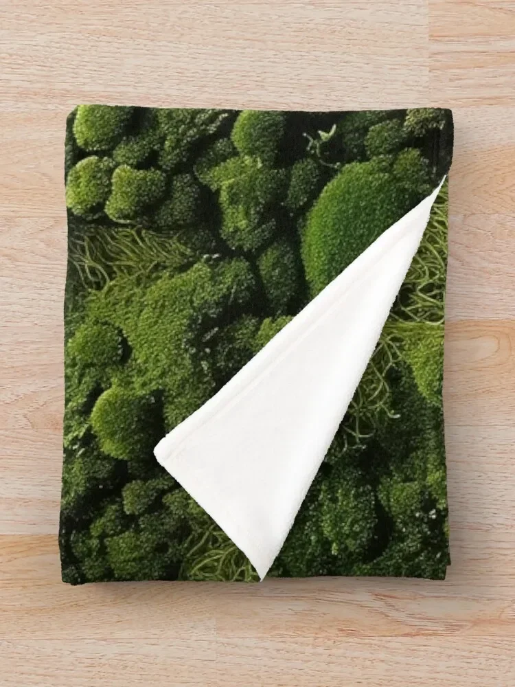 �̳� ����: �ڿ������� �ż��� ������ ���, ��� ���, �� ���� �ε巯�� ��