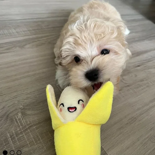 7-Piece Plush Puppy Toy Set 6