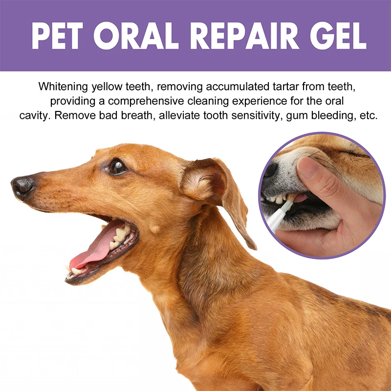 Pet Teeth Whitening & Breath Freshening Pen