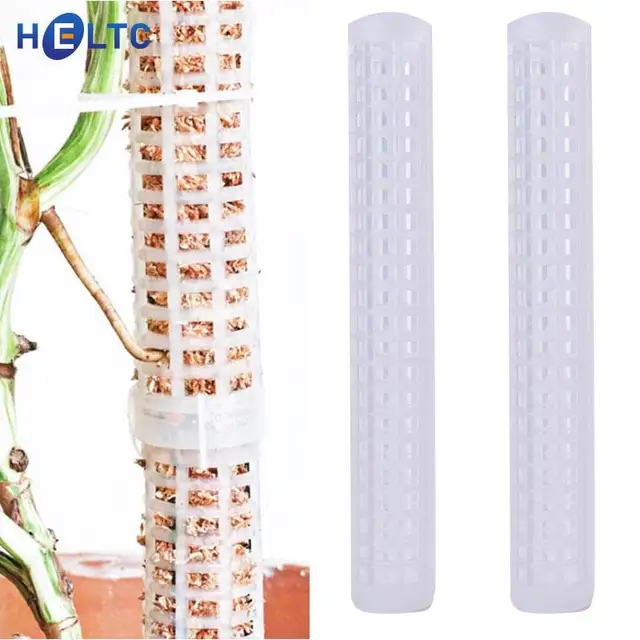 25 Cm-Es Magas Mászó Növényi Pólus Sphagnum Mohálpálcák Növény Növekvő Tartótámogató Vízmegtakarító Műtrágya Gazdag Kókuszpálma Bot