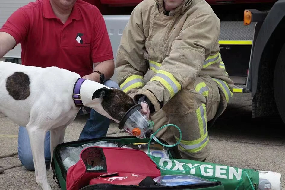 Veterinary Oxygen Masks Pet 5PCS/SET