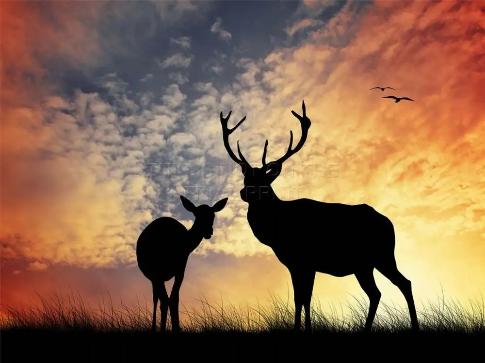 Deer Silhouette Sunset Sky Stag Art Print Silk Poster Home Wall Decor