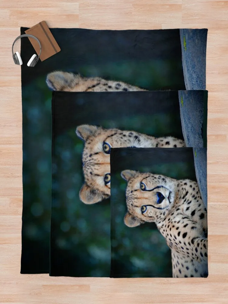 ġŸ ������ ���, ������ ����, ���� ���